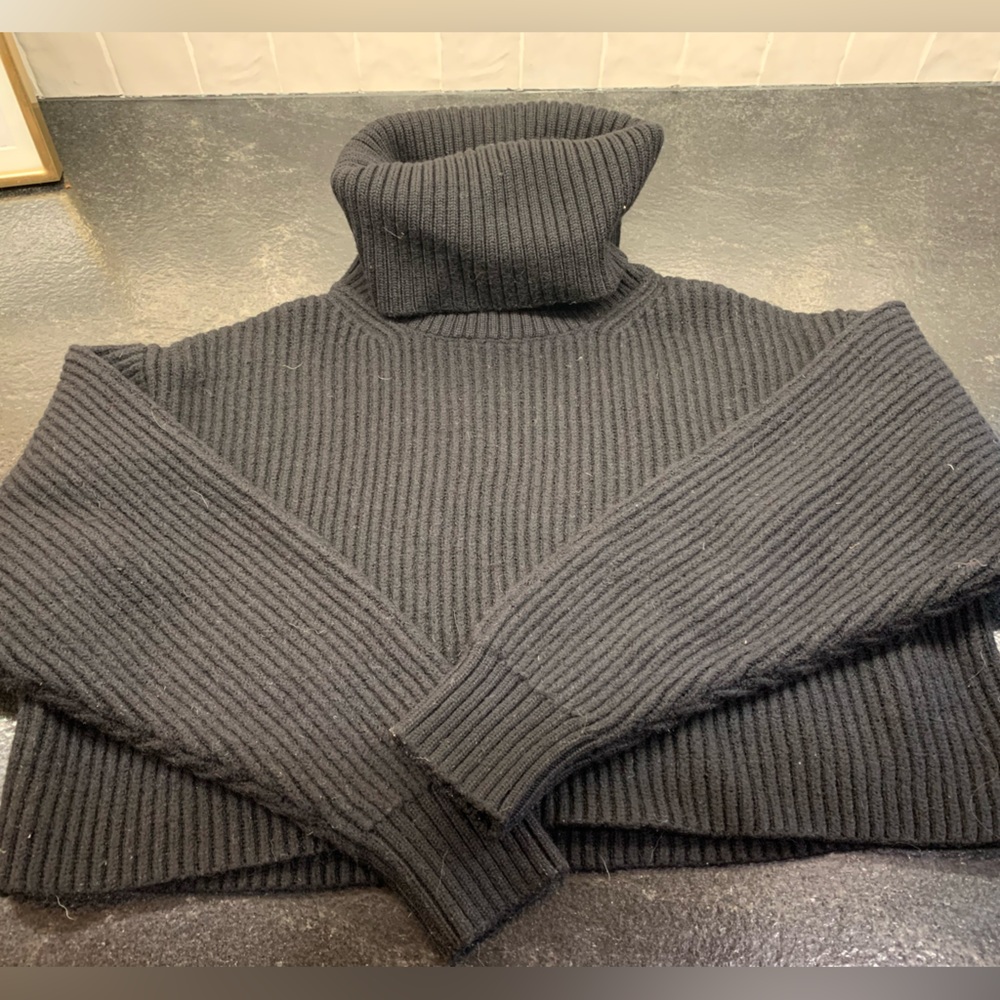 Aritizia- Cropped black turtleneck sweater